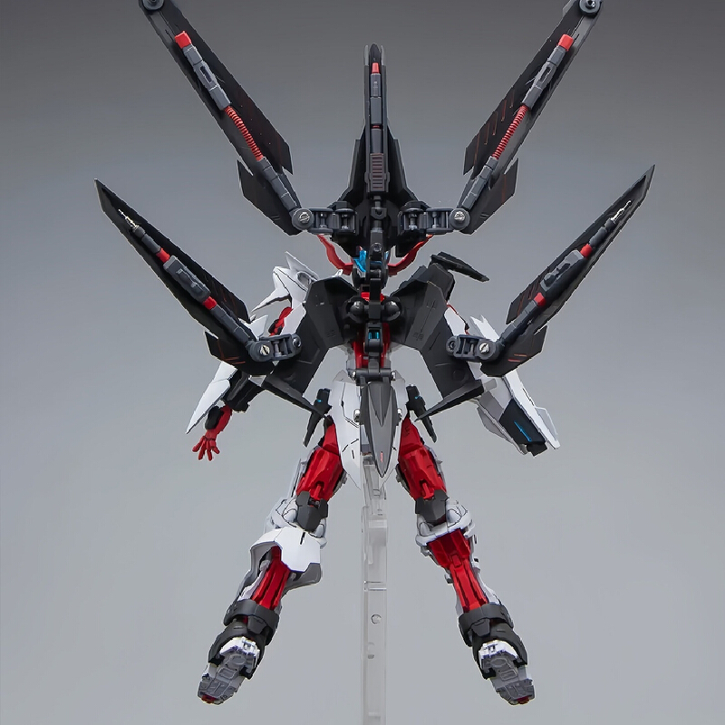 Beast Tiger HG Astray No Name  - đánh giá và giá Model Kit Non Gundam