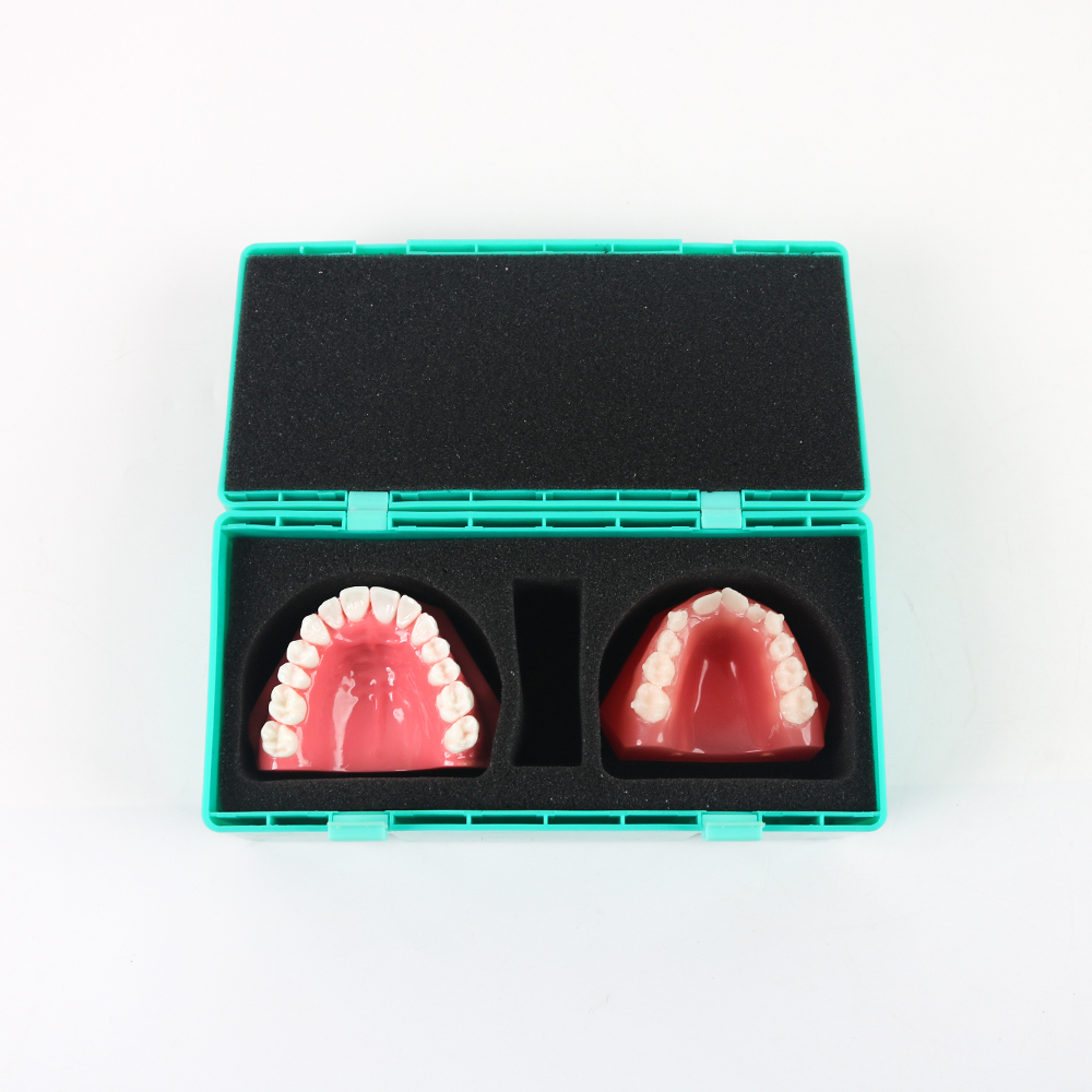10pcs Custom Manual Dental Kit - đánh giá và giá Model Kit Manual